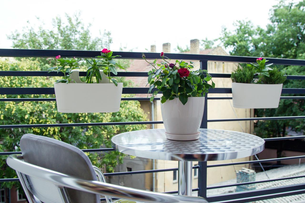 Apartman Boska Lux 苏博蒂察 外观 照片